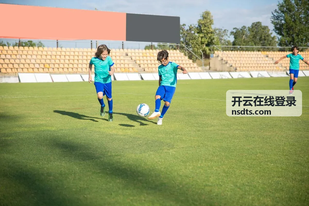 开云在线登录访问入口确认示意